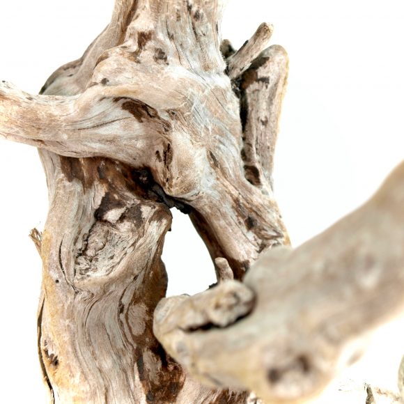 Kinetic 2 - Image 6