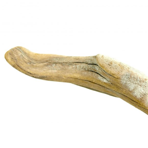 Flight - Image 3