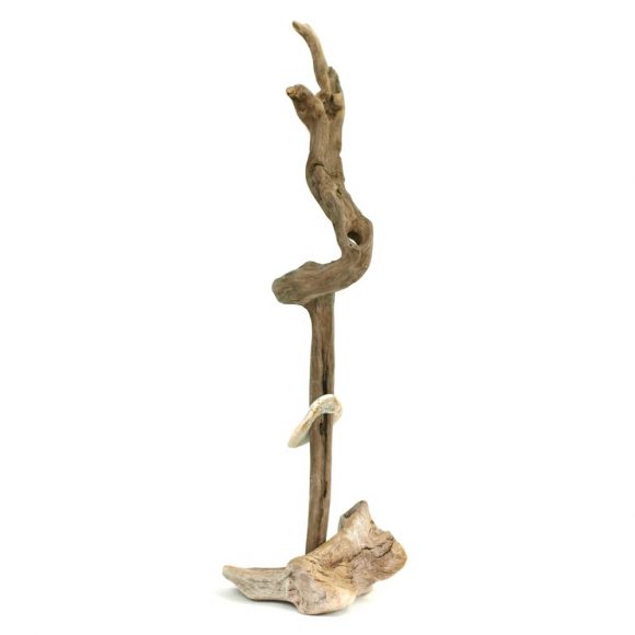 Open - Image 6