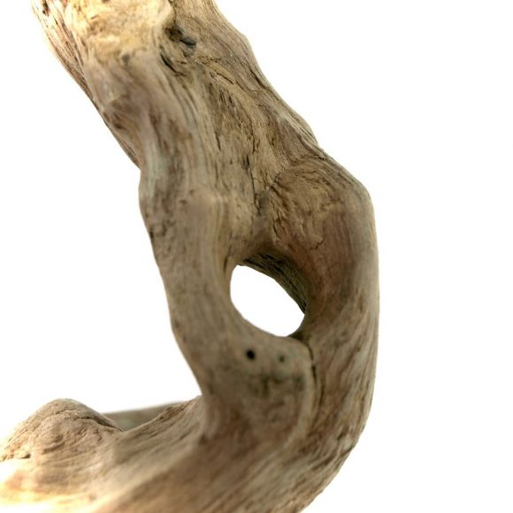 Open - Image 2