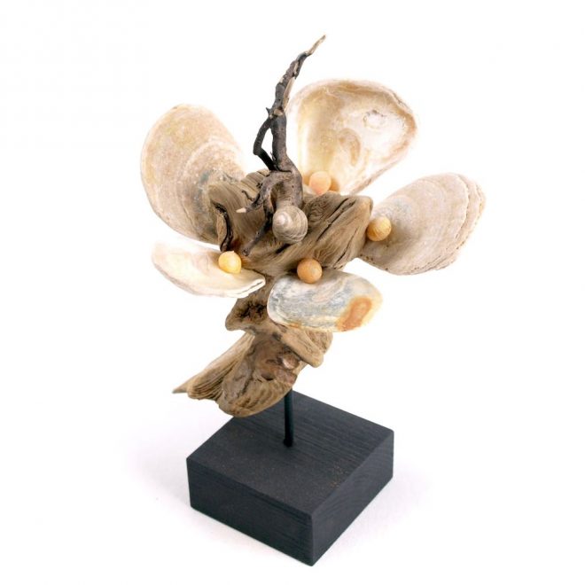 Flora 2