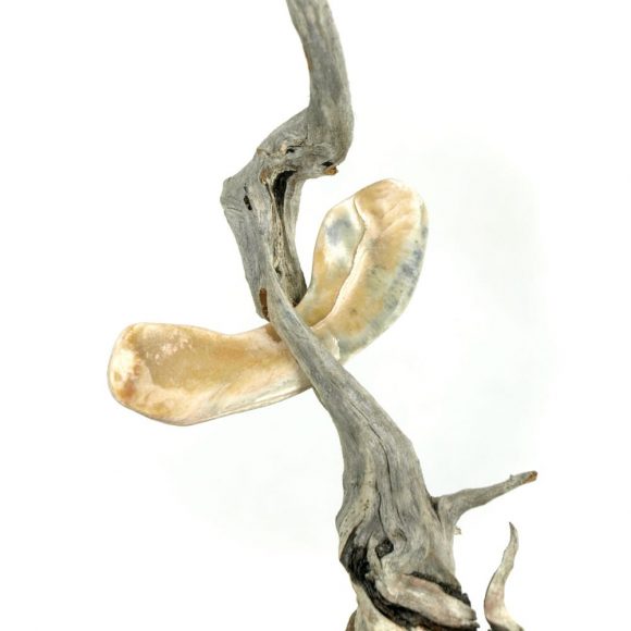 Sharp - Image 5