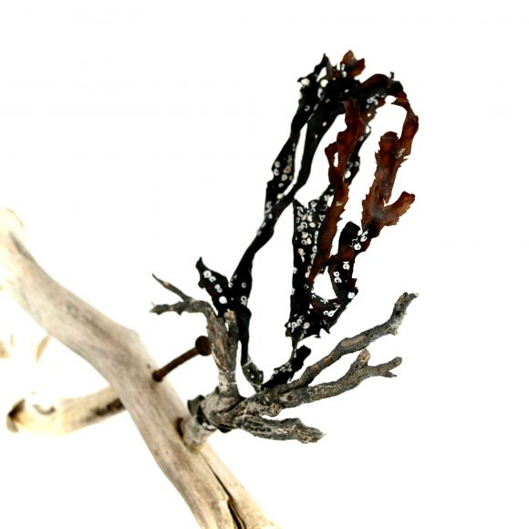 Kinetic 1 - Rattle - Image 4