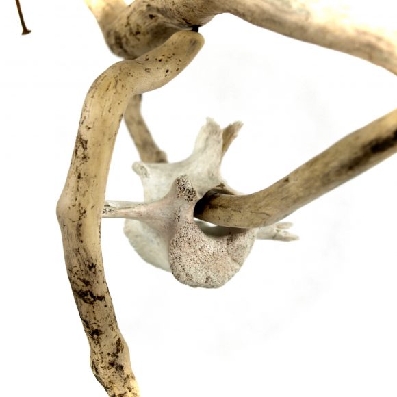 Kinetic 1 - Rattle - Image 5