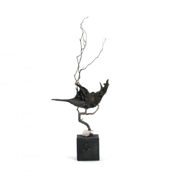 Blackbird