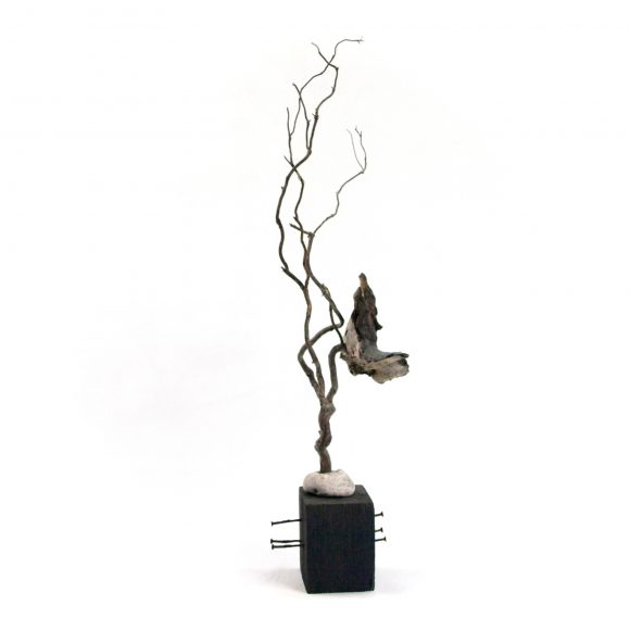Blackbird - Image 2