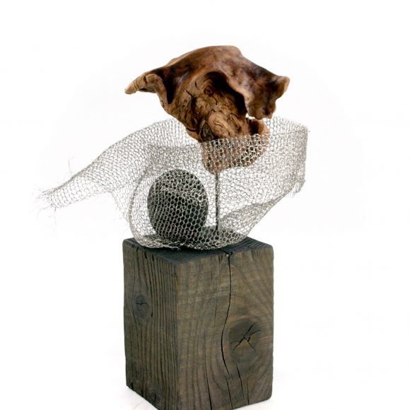 Protected - Image 2