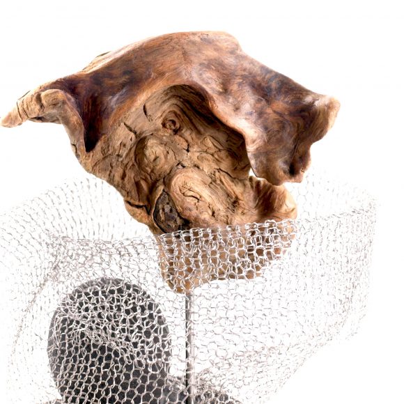 Protected - Image 4