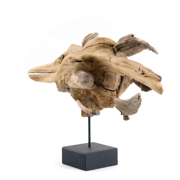 Dragonfish - Image 4
