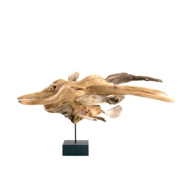 Dragonfish - Image 9