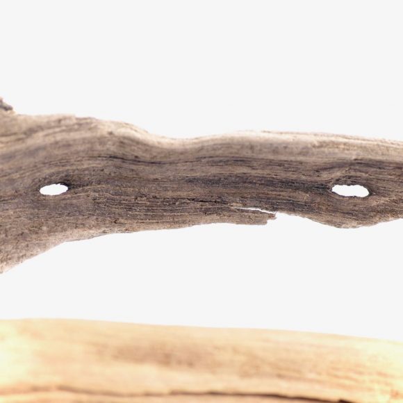 Dragonfish - Image 6