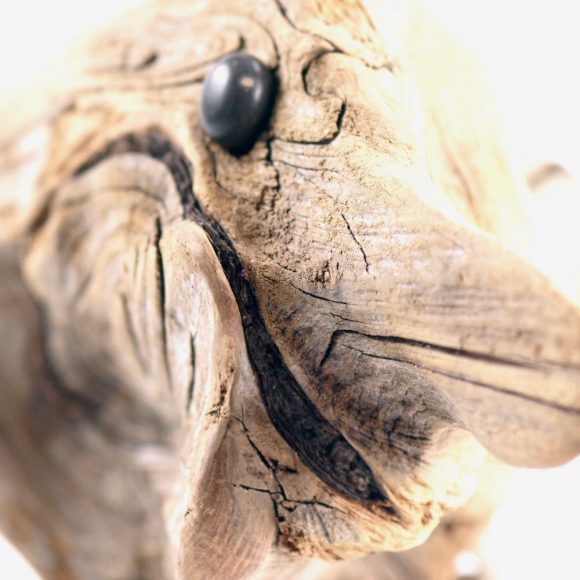 Dragonfish - Image 7