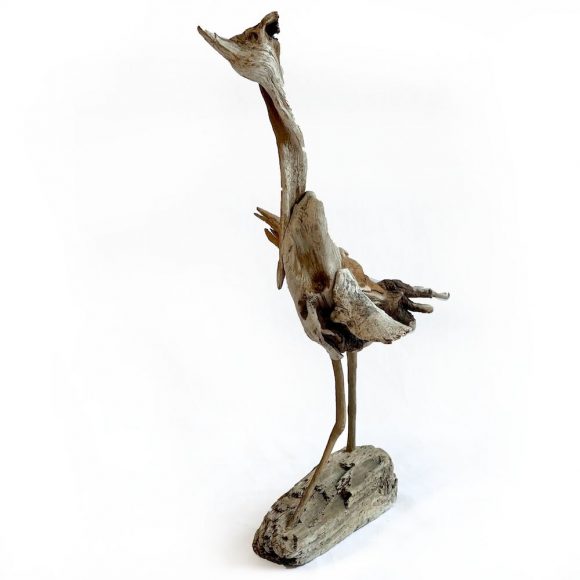 Coot  <small><p style="color:red">SOLD</small></p> - Image 3
