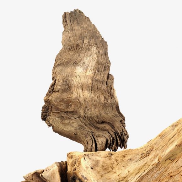 Dancer - Image 7