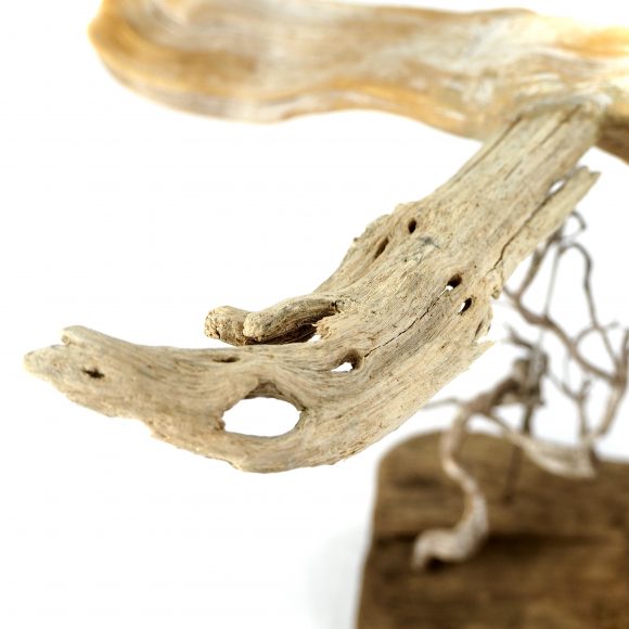 Flight - Image 9