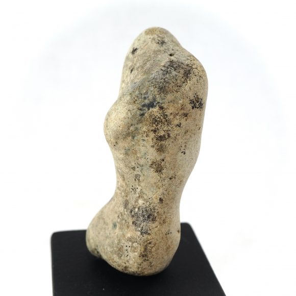 Homage IV - Torso - Image 3