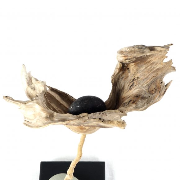 Poppy - Image 3