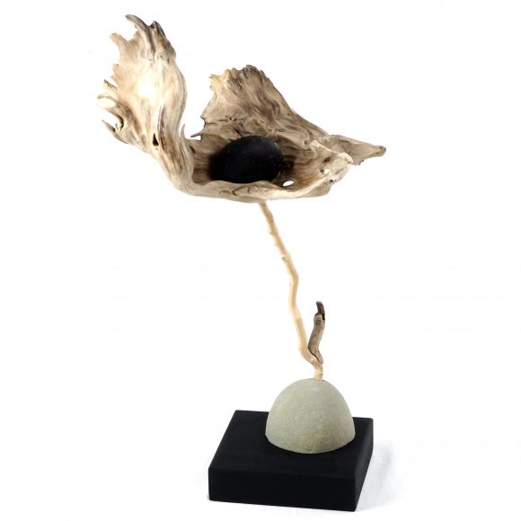 Poppy - Image 2