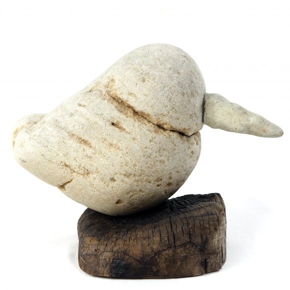 Kingfisher - Image 2