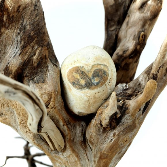 Owls <small><p style="color:red">SOLD</small></p> - Image 2