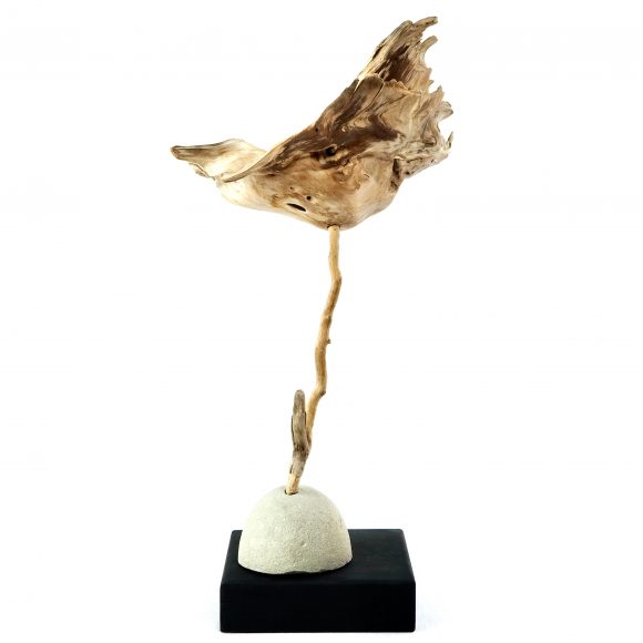 Poppy - Image 7