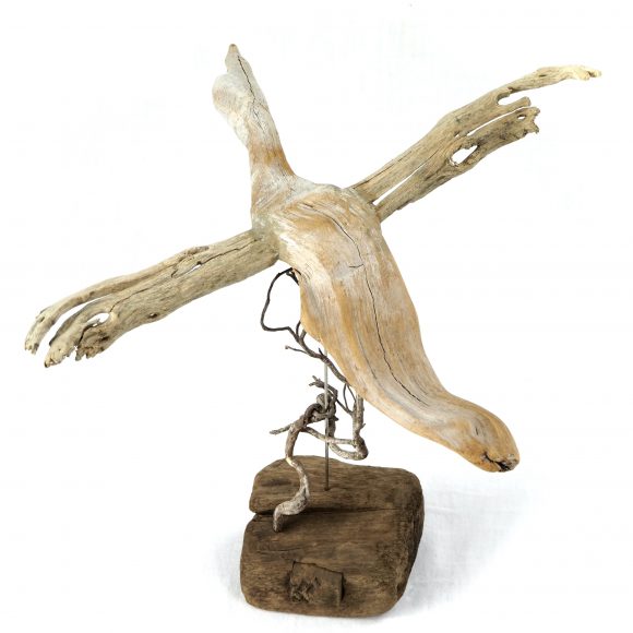 Flight - Image 7