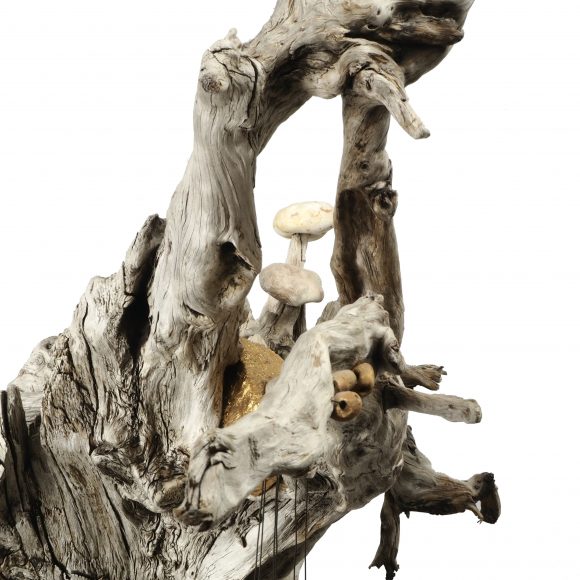 The Harp - Image 10