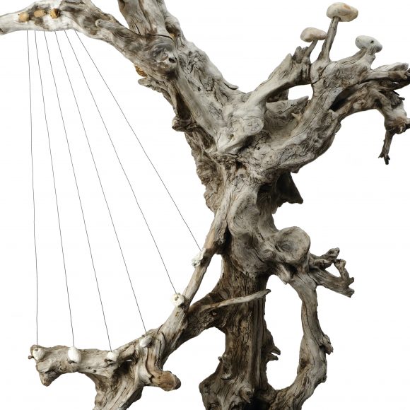 The Harp - Image 14