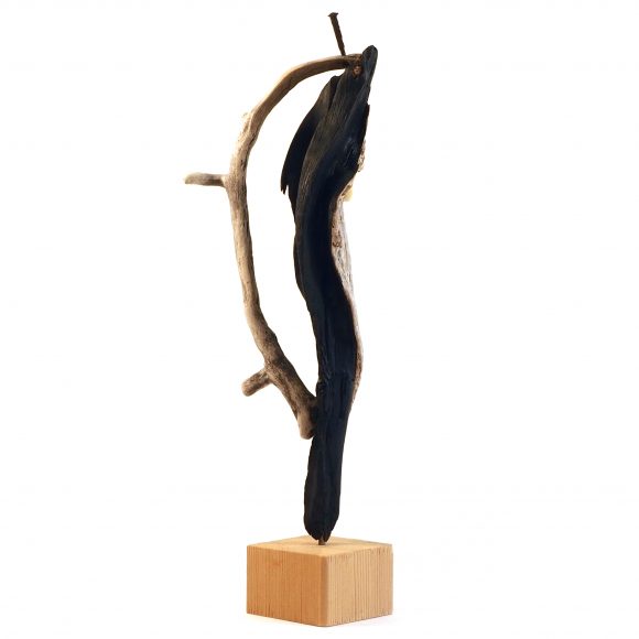 Symbiosis 2 - Image 6