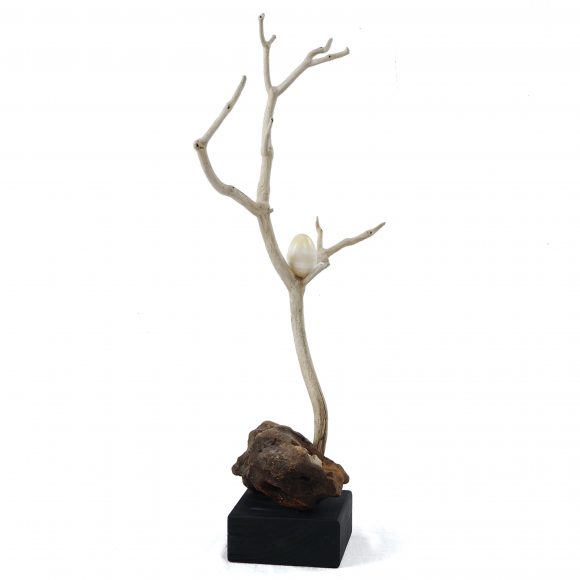 The Elements - Image 5