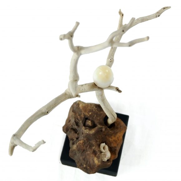 The Elements - Image 6