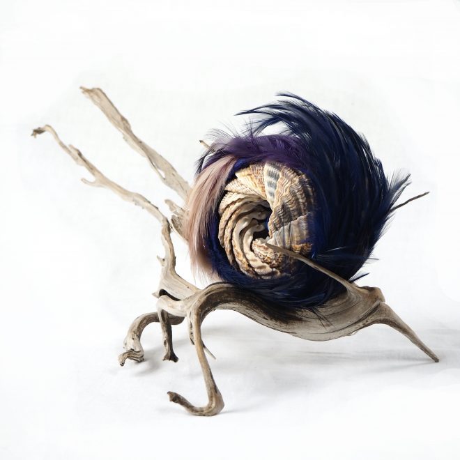 Eye of the Storm