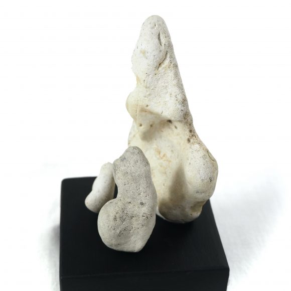 Homage II - Family White <small><p style="color:red">NOT FOR SALE</small></p> - Image 2