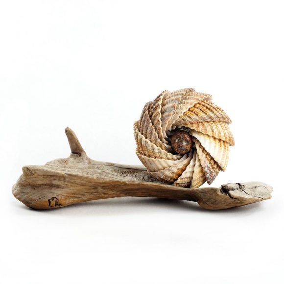 Touchling: Conundrum<small><p style="color:red">SOLD</small></p>