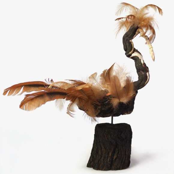 No Spring Chicken
