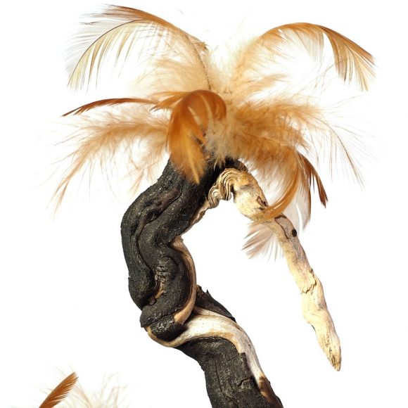 No Spring Chicken - Image 2